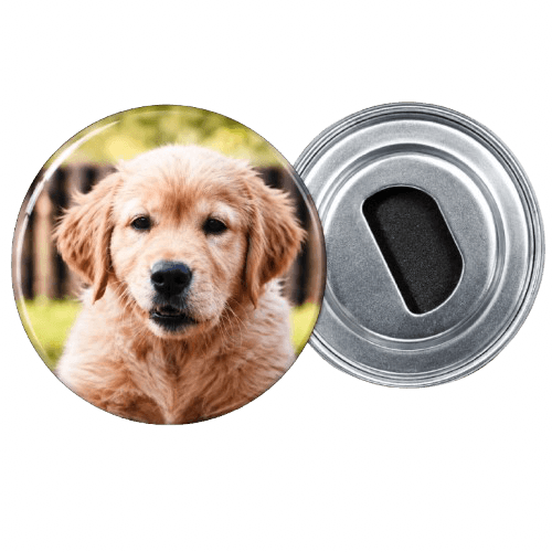 2.25" Bundle! 9 Pieces (Mirrors, Bottle Openers, Keychains and Magnets!) 4